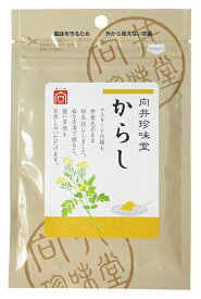 （全国送料無料・2袋セット）向井珍味堂からし（マスタード）20g×2袋セット（向井の香辛料）≪ギフト・日時指定不可≫≪他の商品と混載不可≫