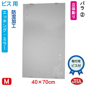 yN[|zJHA ʏ ʑ䋾   ~[ ʋ ϋifUC~[jo2 W400×H700irXpjEM-40X70Tb-R2 h t[X~[ mt[   gC Q