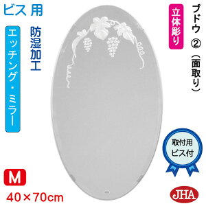 yN[|zJHA ۋ ۂ ʏ ʑ䋾   ~[ ʋ ϋ I[oifUC~[juhE2 ȉ~W400×H700iʎjirXpj EV-40X70Mb-B2 h ܂ ی^ ~