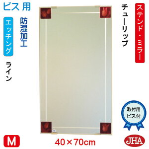 yN[|zJHA ʏ ʑ䋾   ~[ ʋ ϋ Xeh~[(FKXj (ǂ) @`[bv W400×H700irXpj AM-40X70Tb-TP h t[X mt