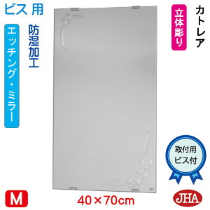 yN[|zJHA ʏ ʑ䋾   ~[ ʋ ϋifUC~[jJgA W400×H700irXpjS-EM-40X70Tb-CT h t[X~[ mt[   gC