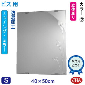 yN[|zJHA ʏ ʑ䋾   ~[ ʋ ϋifUC~[jJ[2 W400×H500irXpjEM-40X50Tb-CA2 h t[X~[ mt[  Sg Sg