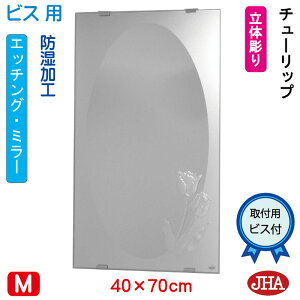 yN[|zJHA ʏ ʑ䋾   ~[ ʋ ϋifUC~[j`[bv W400×H700irXpj S-EM-40X70Tb-TU h ی^ ~` ȉ~ t[X~[ mt