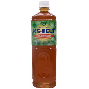_ېY KSg 1bg (KS-MELT/PCGXg/P[GXg oCIWFjNX   Pʋ NX}X̉ g E Y KS{ oCIWFjbNX 