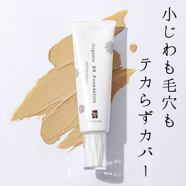 楽天市場】IBI 光線治療器 サナモア用ジョイント カーボン 10本入×5箱 光線治療サナモアジョイントカーボン５箱