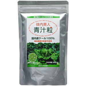 [֑ ̓l` 250g iXJCt[h _sgp@_  P[ Tvg Y Yj