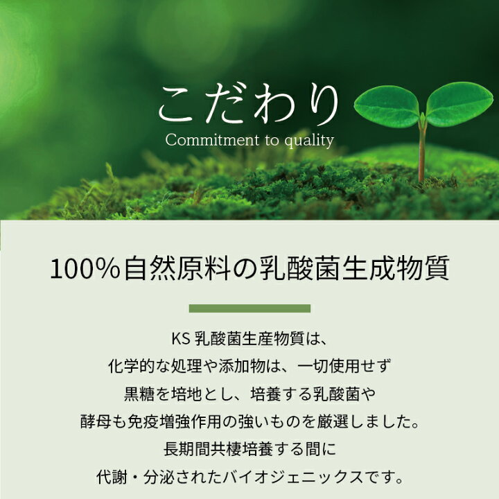 今ならほぼ即納 乳酸菌生産物質 ｋｓ ｍｅlt ケイエスメルト1ｌ Fucoa Cl