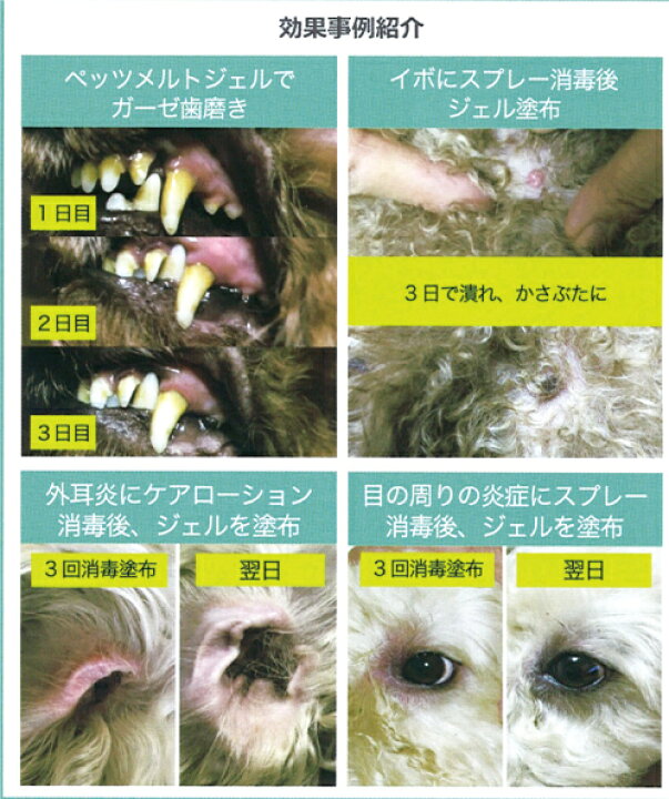 楽天市場】Pet's Melt ペッツメルトジェル 50g (ペットの乳酸菌生産物質 無添加 ペット用サプリメント KS菌 口腔ケア 歯茎 クリスマス島の塩 波動水 喜界島黒糖 スキンケア 善玉菌 腸内環境 犬 猫 動物 ) : ナチュレルハウス 楽天市場】Pet's Melt ペッツメルトジェル 50g (ペットの乳酸菌生産物質 無添加 ペット用サプリメント KS菌 口腔ケア 歯茎 クリスマス島の塩 波動水 喜界島黒糖 スキンケア 善玉菌 腸内環境 犬 猫 動物 ) : ナチュレルハウス