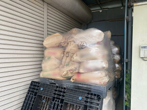 y݁zyƒ{pzu^i؉ajAƒ{ap̂iv500kgjiłByR[X^[`i3jAJFfi1jAyяɗiȂǂ