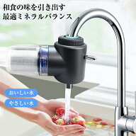 【在庫処分！2購入で2個目が半額！】蛇口直結型浄水器 マイクロバブル 浄水器 蛇口 蛇口用浄水器 専用カ…