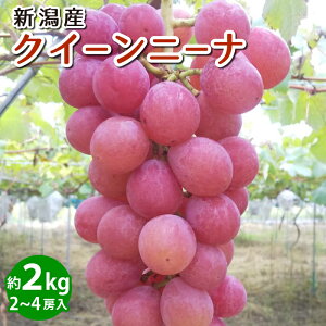 yVYzNC[j[i Ԃǂ 2`4[ 2kg y:9{`10{܂ŗ\zyʏ}ցzyO[t@Ng[zMtg p ƒp Y Vs ʕ  