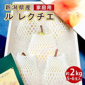 yVYzN`F miƒpjDi 2kgi5ʁ`6ʁjy:12{܂ŗ\zyʏ}ցzyO[t@Ng[zp ƒp Y Vs ʕ