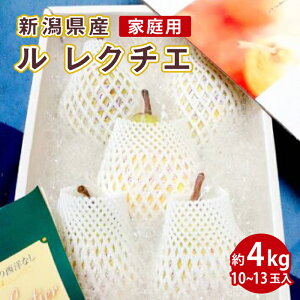 yVYzN`F miƒpjDi 4kgi10ʁ`13ʁjy:12{܂ŗ\zyʏ}ցzyO[t@Ng[zp ƒp Y Vs ʕ