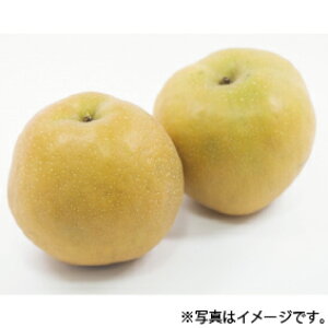 11{`12{̔EL_́wViƒpjx5kgi6ʁ`10ʁjyʏ}ցzVYEt[cMtg