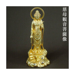 ωF  bL qcG_  20cm    {