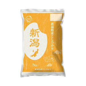  Mtg V ߘa7N 2025 VY RVqJ  5kg   5L Ђ  ߘa7NY V  [J[ V_