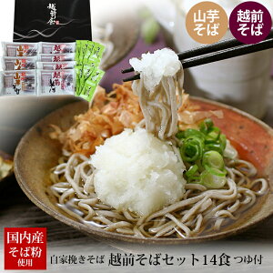 お中元 ギフト 越前そば セット 14食入 つゆ付 E-14 (越前そば 山芋そば) 送料無料 冷蔵便 産地直送 取り寄せ 蕎麦 生 そば セット 福井 越前市 高級 国産 引っ越し 長寿 プレゼント お取り寄せ