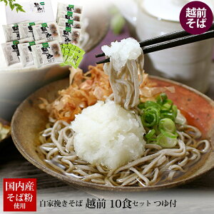  Mtg Ɣ҂ zO 10HZbg J-10 ΂t  ① Yn     Zbg  zOs  Y z  v[g  Y 