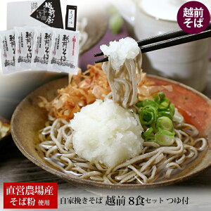 お中元 ギフト 直営農場産 越前そば 8食セット つゆ付 送料無料 冷蔵便 産地直送 取り寄せ 蕎麦 生 そば セット 福井 越前市 高級 国産 引っ越し 長寿 プレゼント お取り寄せ 産直 武生製麺