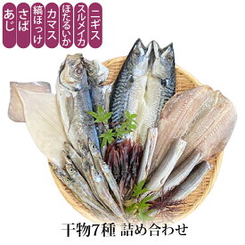 贈答 ギフト 干物 7種 詰め合わせ 冷凍便 メーカー直送 あじ さば 縞ホッケ カマス ほたるいか スルメイカ ニギス 干物 送料無料 富山 ダイサン大丸水産