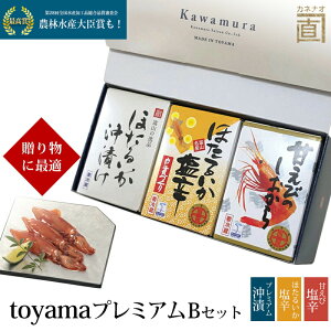 Ε Mtg toyama v~A B (v~Aق邢 Âщh ق邢h) ϔ ① xR 쑺Y