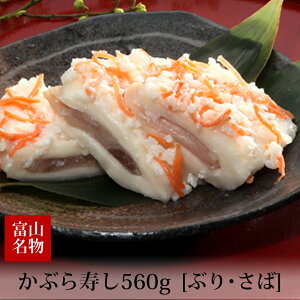  Mtg Ԃ Ԃ  Zbg 560g ϔ ① Mtg Ԍ Y yY yY xR HxHi
