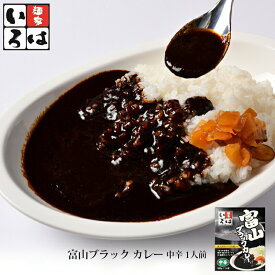 富山ブラック カレー 中辛 1人前 メーカー直送 レトルトカレー 麺家いろは 富山 天高く