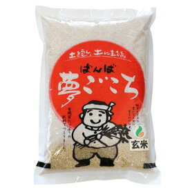 新米 令和5年 2023年産 石川県産 特別栽培米 夢ごこち 玄米2kg 一等米 産地直送 ばんば