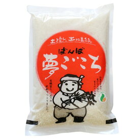 新米 令和5年 2023年産 石川県産 特別栽培米 夢ごこち 白米2kg 精米 一等米 産地直送 ばんば