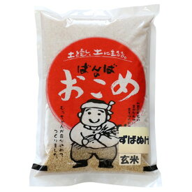 新米 令和5年 2023年産 石川県産 特別栽培米 ずばぬけ 玄米2kg コシヒカリ 一等米 産地直送 ばんば