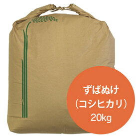 新米 令和5年 2023年産 石川県産 特別栽培米 ずばぬけ 玄米20kg コシヒカリ 一等米 産地直送 ばんば