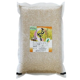 新米 令和5年 2023年産 石川県産 特別栽培米 ずばぬけ 玄米5kg コシヒカリ 一等米 産地直送 ばんば