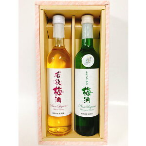  Mtg ዷ~  OX~ Zbg e500ml 2{ ϔ Yn Y Д~ gf~ Y ዷOrobW osk