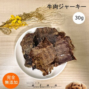 y40OFF!JÊ11/14-11/27z W[L[30g  Y  aian  p Lp  イɂ  r[t W[L[ Lbgt[h L hbOt[h y bgt[h J g[