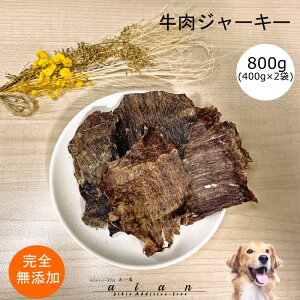 y40OFF!JÊ11/14-11/27z W[L[800g(400g×2)  Y  aian  p Lp  イɂ  r[t W[L[ Lbgt[h hbOt[h hbNt[h y bgt