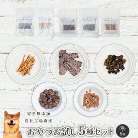 【LINE登録で300円OFFクーポン】■無添加おやつお試し5種セット各30g■犬 無添加 おやつ aian あい庵 ジビエ 犬用 猫用 馬肉 鹿肉 猪肉 鶏ささみ まぐろ チップ ジャーキー キューブ クッキー 犬用おやつ 猫用おやつ 手作りドッグフード ペットフード 低カロリー プレゼント