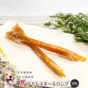 nALXz[O()200g Y  aian  p Lp n nALX f^PA  XgX  p ^ L\h Η\hy3.980~
