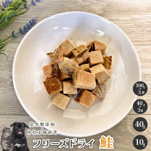 t[YhC  Y  aian  p Lp t[YhC  TP VP p Lp J[ hbOt[h Lbgt[h