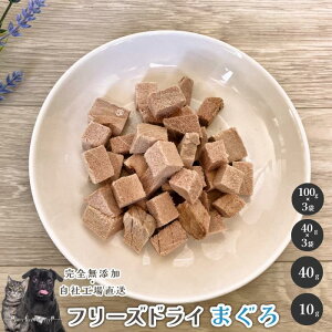 y5%|CgobN{zt[YhC܂  Y  aian  p Lp t[YhC ܂ }O  p Lp J[ hbOt[h Lbgt[h