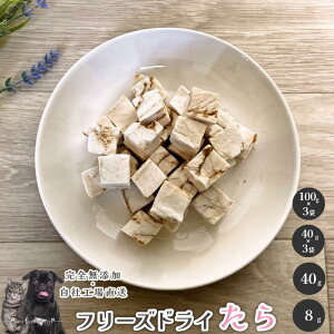 t[YhC  Y  aian  p Lp t[YhC  ^ L p Lp J[ hbOt[h Lbgt[h