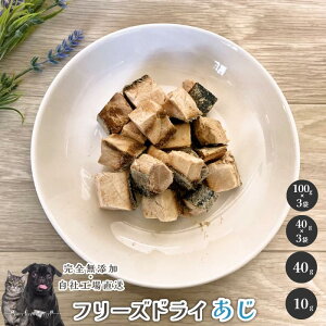 y5%|CgobN{zt[YhC  Y  aian  p Lp t[YhC  AW  p Lp J[ hbOt[h Lbgt[h