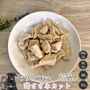 t[YhC{݃Jbg  Y  aian  p Lp Y { TT~ {TT~ t[YhC p Lp J[ hbOt[h hbNt[h