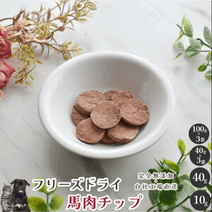 t[YhCn`bv Y  aian  p Lp n ΂ɂ n `bv t[YhC p Lp Lbgt[h L hbOt[h hbNt[h ybgt[