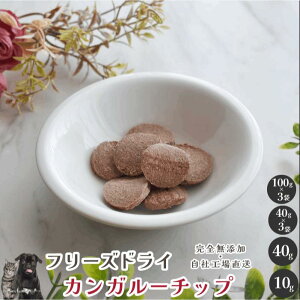 y5%|CgobN{zt[YhCJK[`bv Y  aian  p Lp JK[ JK[ `bv t[YhC p Lp Lbgt[h