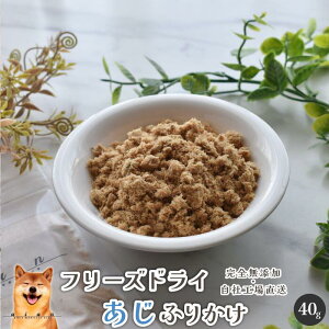 t[YhCӂ肩40g  Y  aian  p Lp Y  AW   ӂ肩 t[YhC p J[ hbOt[h hbNt[h IK3 DHA EPA