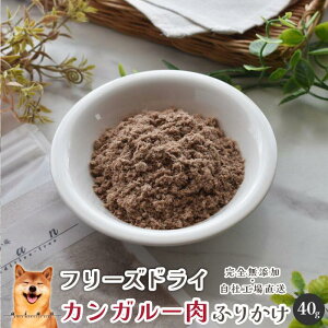 t[YhCJK[ӂ肩 Y  aian  p Lp JK[ JK[ `bv t[YhC p Lp Lbgt[h L hbOt[h hb