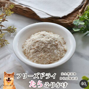 t[YhCӂ肩40g  Y  aian  p Lp t[YhC  ^ L ӂ肩 gbsO p Lp J[ hbOt[h Lbgt[h