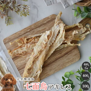 y10OFF!JÊ11/4-11/11z ʒALX  Y  aian  p Lp ʒ ALX ^[L[ALX f^PA    ̂  p