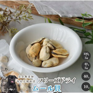 t[YhC[L  Y  aian  p Lp t[YhC [L CKC ^E  p Lp J[ hbOt[h Lbgt[h _炩 