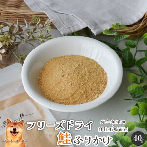 t[YhCӂ肩40g  Y  aian  p Lp t[YhC  TP VP pӂ肩 Lpӂ肩 ⋋ gbsO ӂ肩 J[ hbOt[h L
